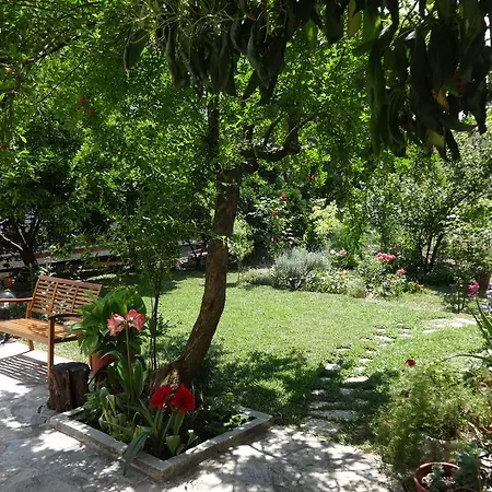 Loginos Apartment Kallithea (Chalkidiki)
