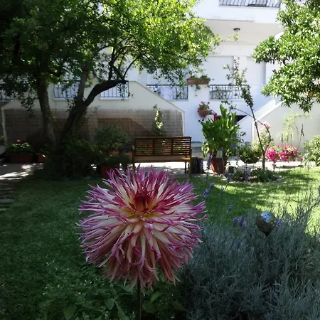 Apartament Loginos *